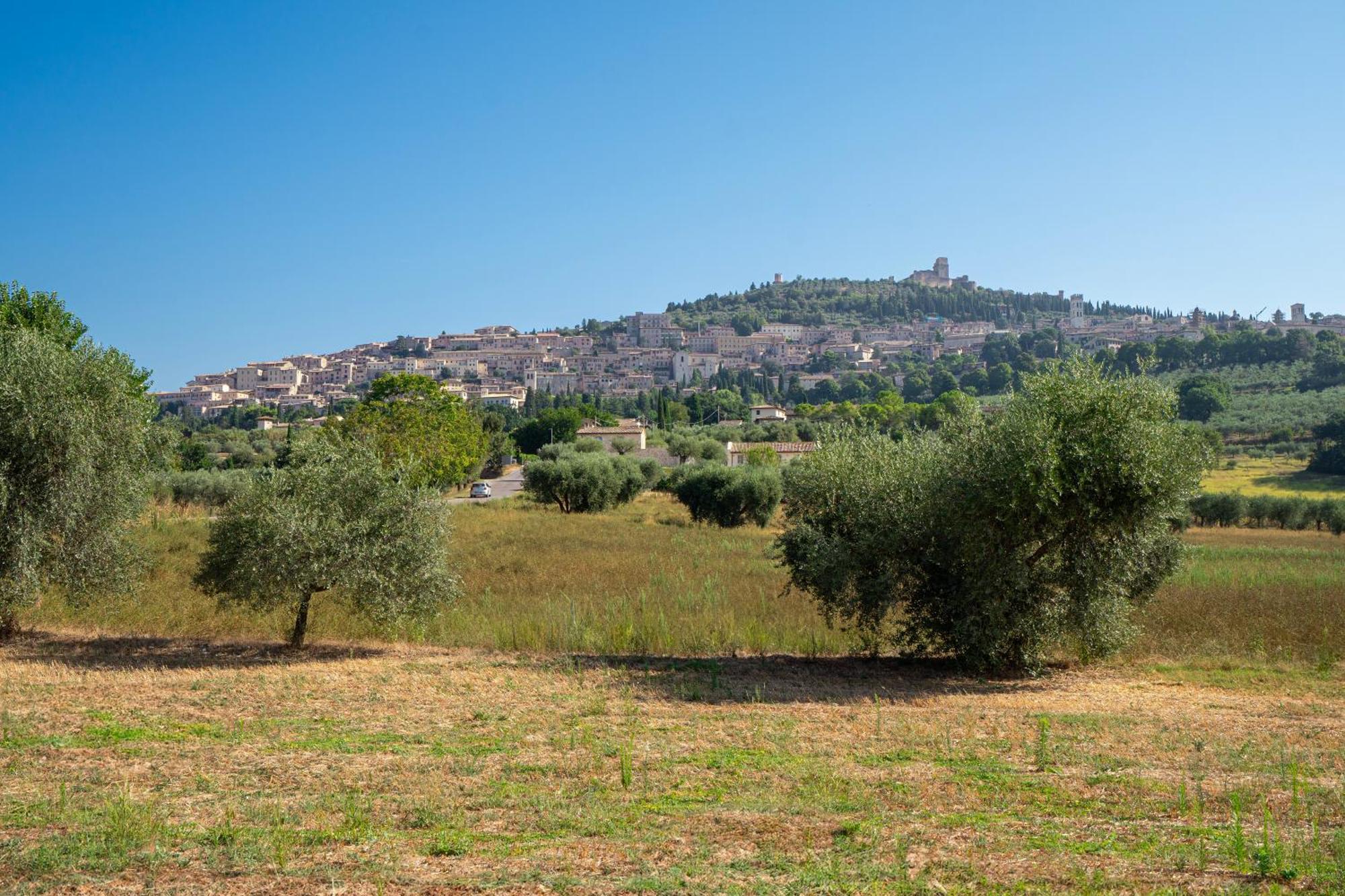 Charming With Garden & Stunning Views Of Assisi